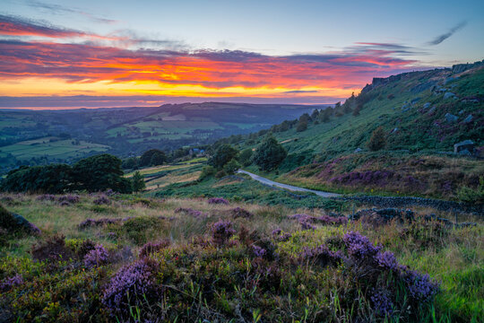 View of landscape from Curbar Edge with purple flowering heather at sunset, Peak District National Park, Baslow, Derbyshire, England, United Kingdom