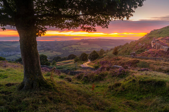View of landscape from Curbar Edge with purple flowering heather at sunset, Peak District National Park, Baslow, Derbyshire, England, United Kingdom