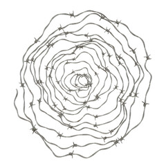 Barbed Wire Ring: A circular ring of barbed wire, isolated on a transparent background, evoking a sense of confinement.