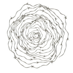 Circular Barbed Wire: A circular arrangement of barbed wire, isolated on a transparent background, symbolizing restriction and danger.