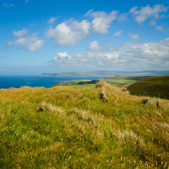 Portaneevey, County Antrim, Northern Ireland 