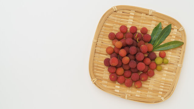 ヤマモモの実・red bayberry