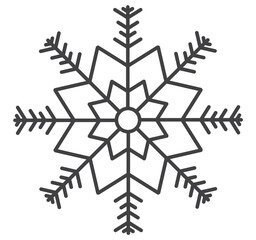 snowflake on a black background