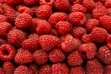 Tasty fresh raspberry as a background.
