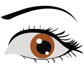 Man eye realistic illustration