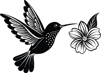 Sunbird among vibrant petals on white background