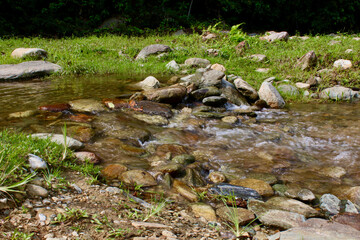 Shallow stream on a green meadow. A shallow mountain river flows through a valley with green grass and rocky banks.
