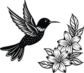 Obraz premium Sunbird among vibrant petals on white background