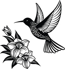 Sunbird among vibrant petals on white background