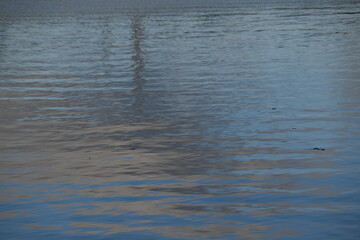 This is sea water in sunny autumn day. This picture can be used as a background image.