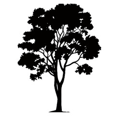 Obraz premium Tree Silhouette