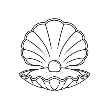 Sea shell icon. Outline illustration of sea shell vector icon for web