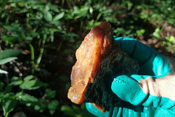Bright sample of reddish-brown chalcedony in the sun, rockhounding
