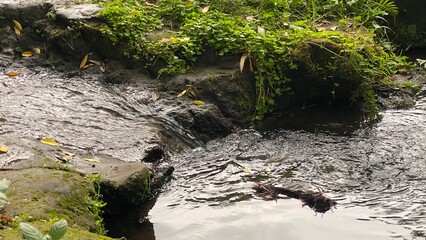beautiful small river