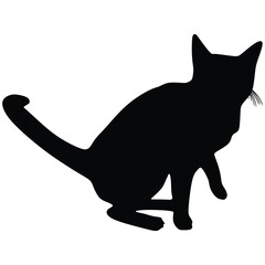 Black Cat Silhouette with white background