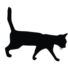 Black Cat Silhouette with white background