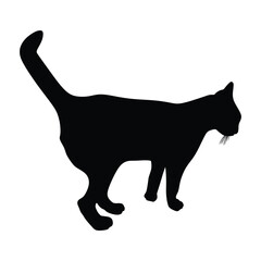 Black Cat Silhouette with white background