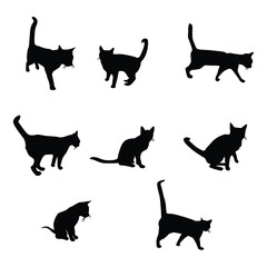 Black Cat Silhouette with white background