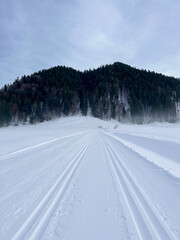 Classic trail for cross-country skiing and beautiful mountains and forest in the background. Cross-country skiing in a beautiful place. Winter sports in Swiss Alps, Switzerland.
