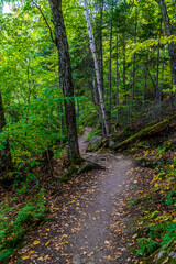 A view of the path heading upward at Saguenay Fjord National Park, Quebec in Canada in the fall