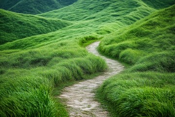 A winding dirt path cuts through vibrant green hills, inviting exploration. The landscape is serene and untouched, creating a perfect escape into nature