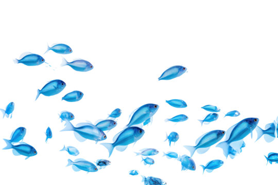 A school of small tropical fish in a clear, blue water environment, isolated on white background - Powered by Adobe