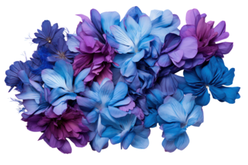 A handful of vibrant flower petals, including deep purples and bright blues, scattered as they descend from above, isolated on white background