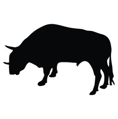 Isolated silhouette bull , black and white drawing, white background. Black bull.