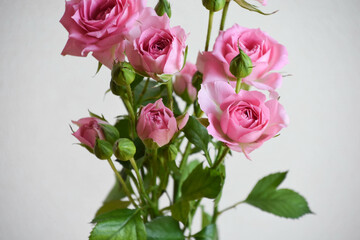 ピンクのスプレーばら