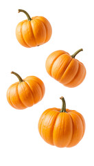 Obraz premium Four Vibrant Orange Pumpkins on transparent Background for Autumn Decor