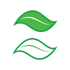 Two green leaves with a white stem. The leaves are very large