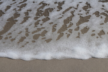 Detailed view of seafoam patterns gently resting on wet sand, showcasing the delicate interplay of water and shore