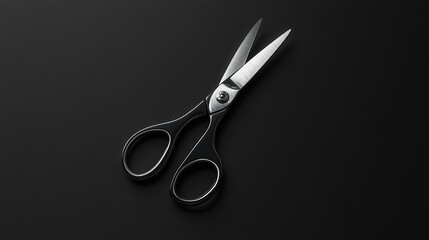 A pair of sharp, stainless steel scissors with ergonomic handles, designed for precision cutting