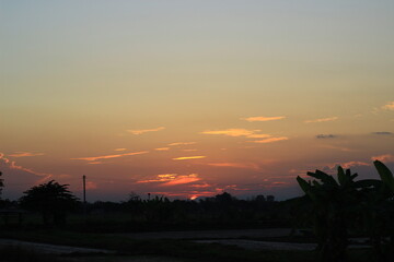 Tree silhouette sunset over trees on the hill in hot summer evening beautiful sunset background.