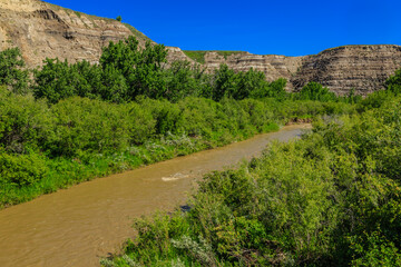 A river with a green forest on either side