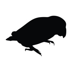 Parrot Silhouette on White Background.