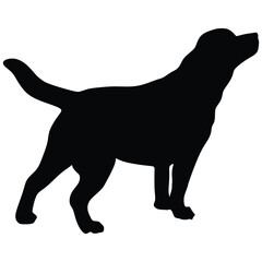 Dog silhouette. Dog labrador. Vector Animal. Pet