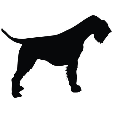 recommend clip art: Airedale Terrier Dog silhouette dog 