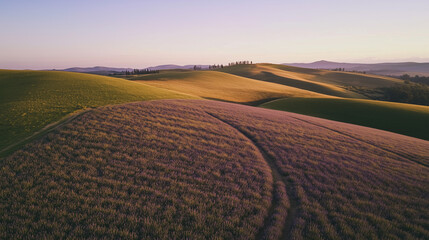 Fototapeta premium Rolling Hills of Tuscany: Golden Fields and Winding Paths at Sunset
