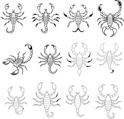 Set of Scorpion Vector Illustrations in Detailed and Modern Design