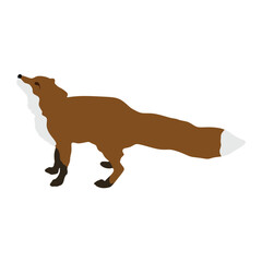 Fox Silhouette. Fox Vector Illustration.