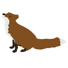 Fox Silhouette. Fox Vector Illustration.