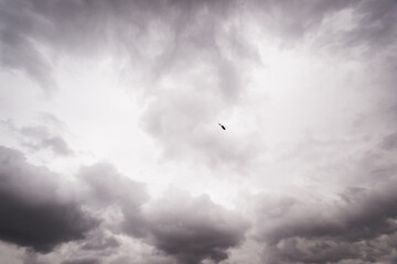 Stormy Skies with Lone Bird in Flight