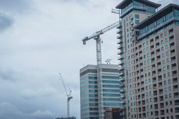 Construction Cranes over Highrise Buildings 