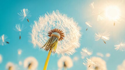 Dandelion seeds floating in the breeze, evoking a sense of lightness and airiness.