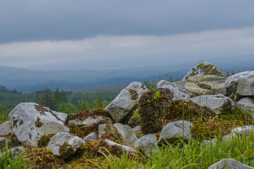 stones covered in flowers and grass against a backdrop of sky and clouds