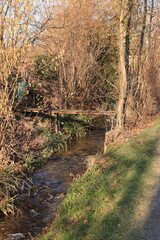 Blick auf die Stadt Greifensee im Schweizer Glatttal	