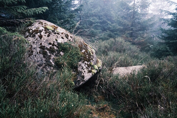 Gro&szlig;er Stein liegt im nebligen Harzwald