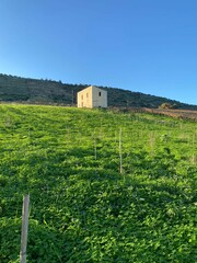 Solitary house on a lush green hill.