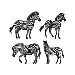 set of zebra vector, zebra icon, silhouette of zebra crossing vector illustration, zebra silhouette, icon logo